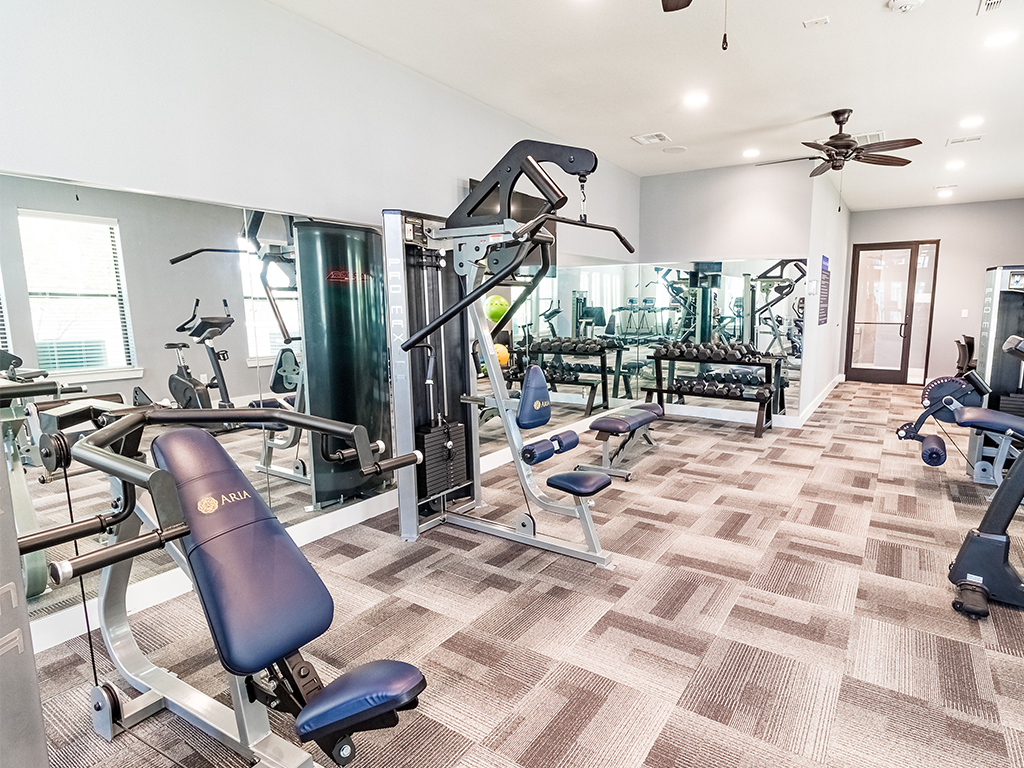 Gym_v01clean